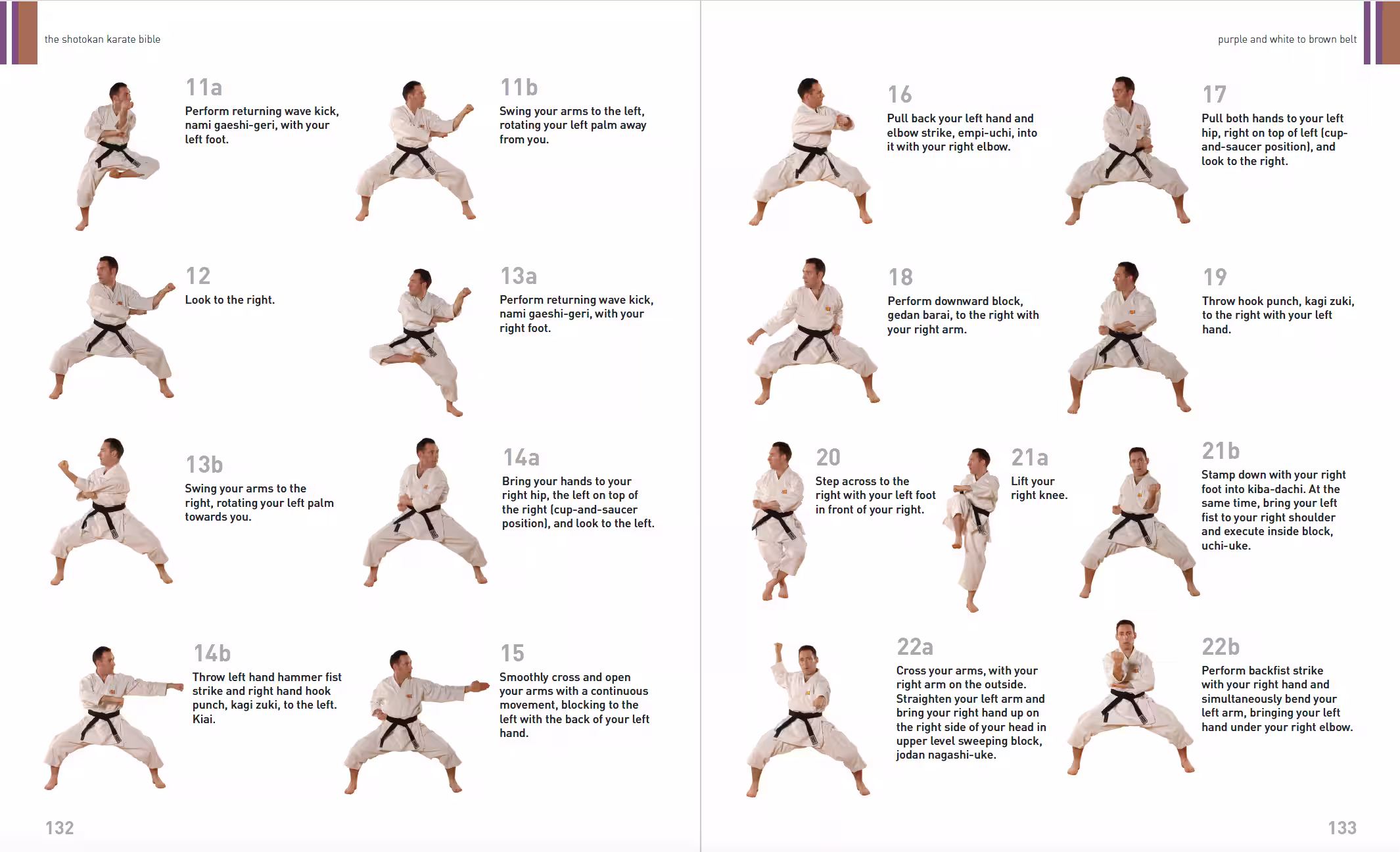 Shotokan Karate bible internal spread: Kata Diagrams Tekki Shodan